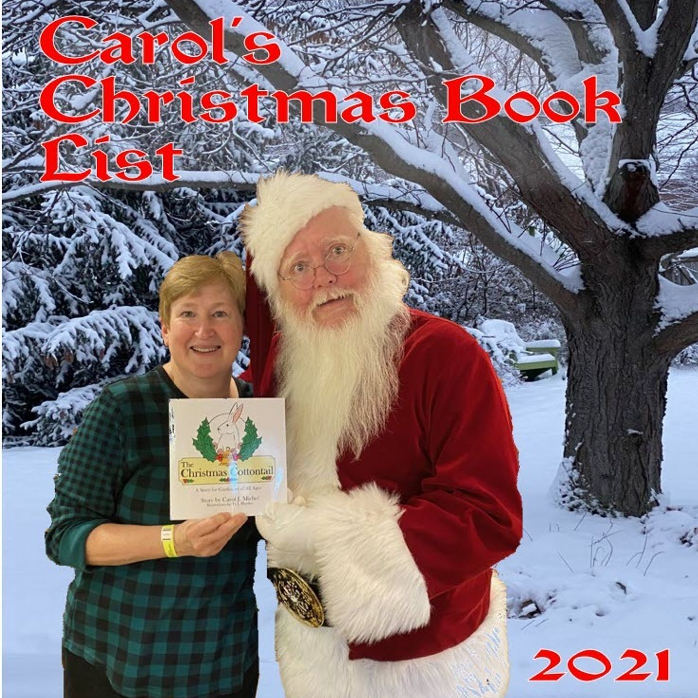 Better Lawns and Gardens Hour 2 - Christmas Garden Book List November 20, 2021