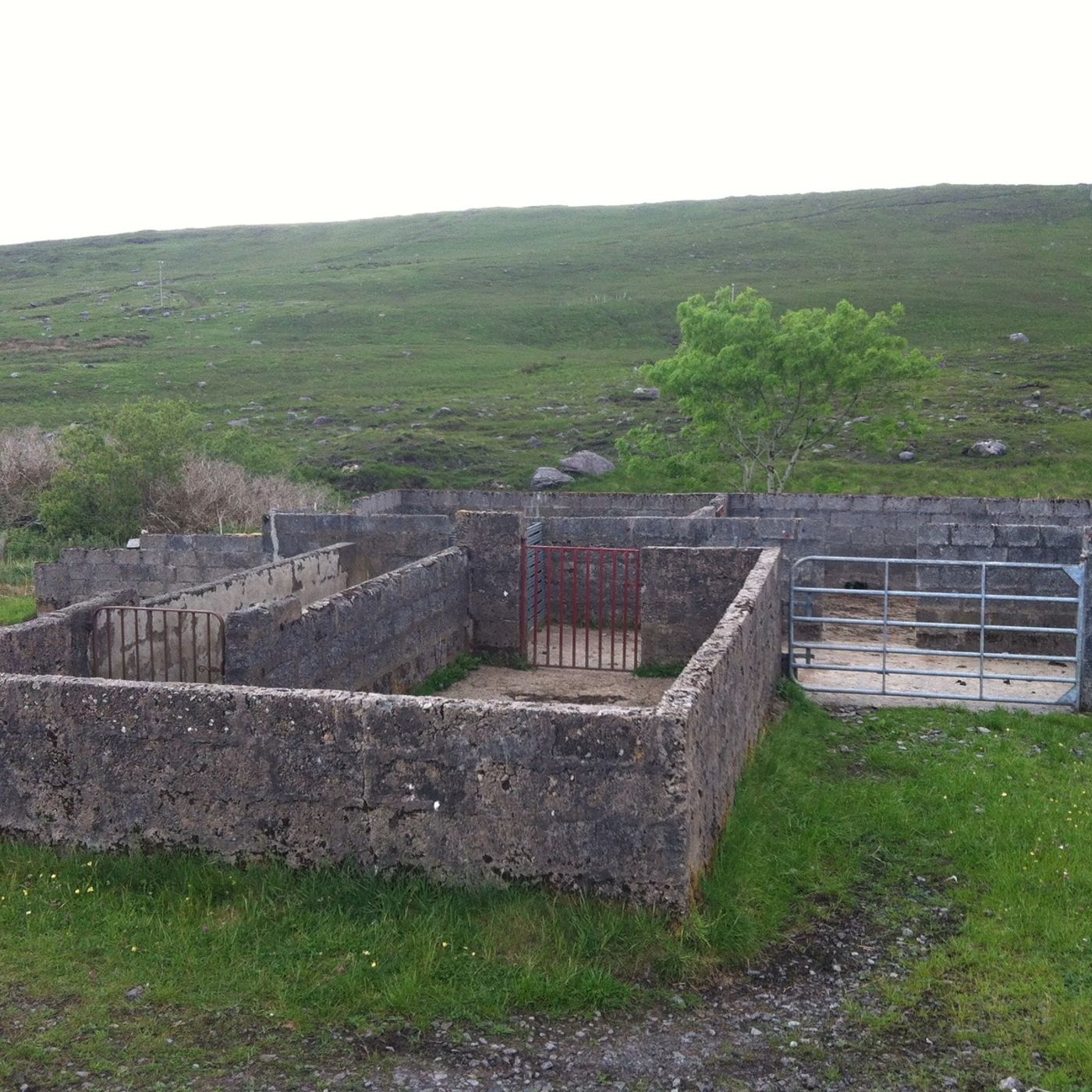 BSW2  8. Sheep dipping episode artwork