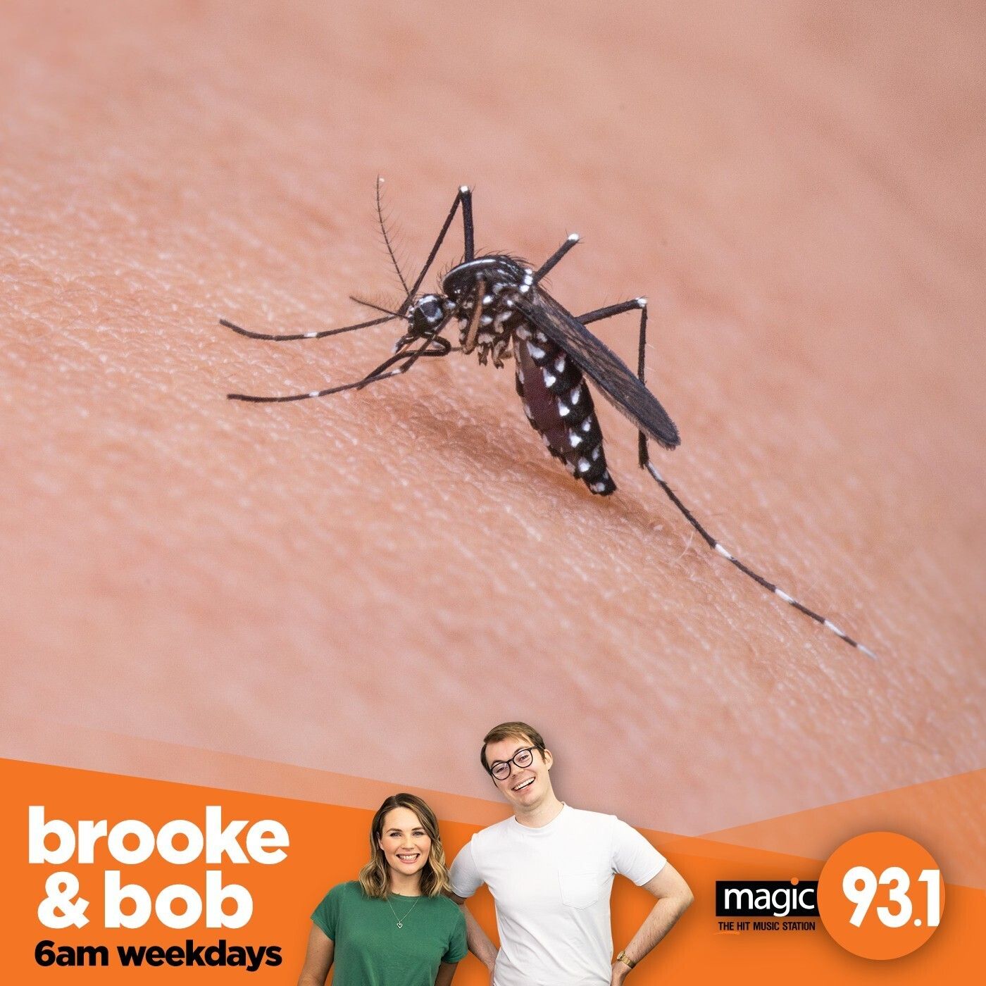 741: Are Mosquitos Getting Wussier? episode artwork