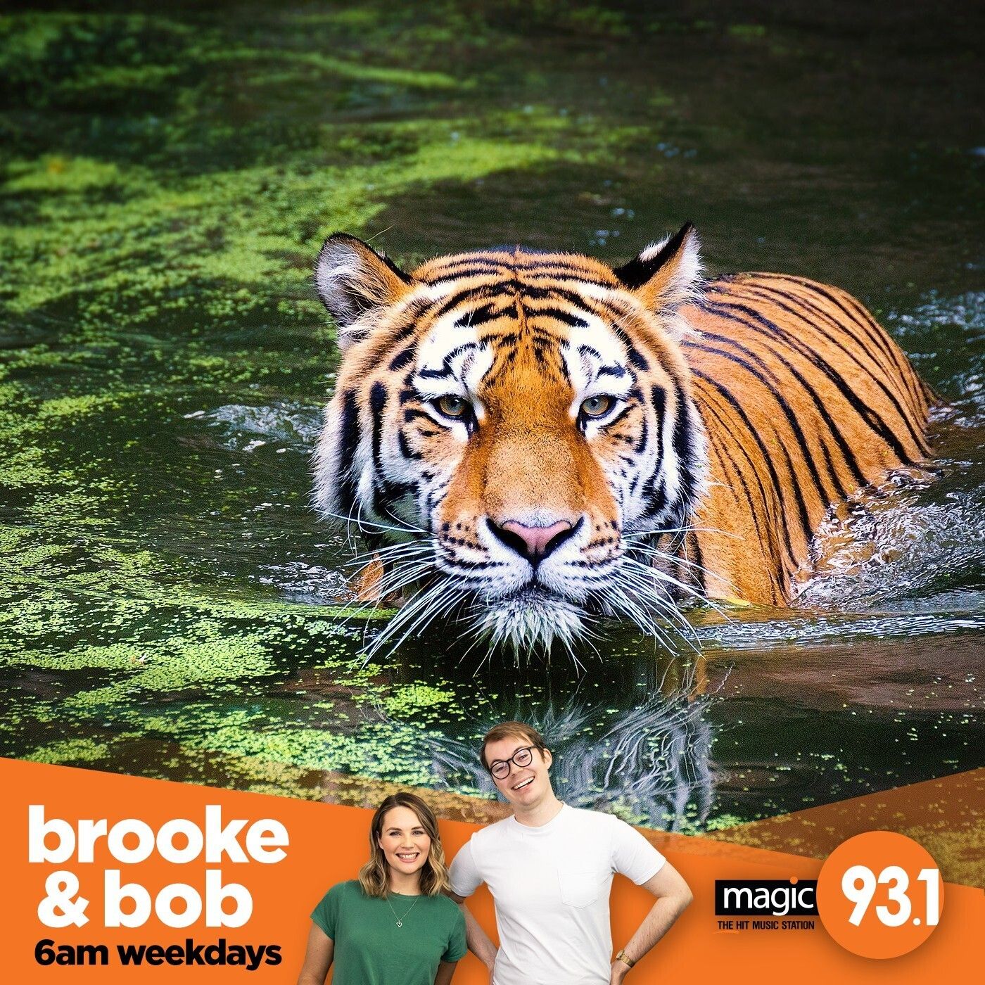 744: Julia Morris is Going Back to the Jungle episode artwork
