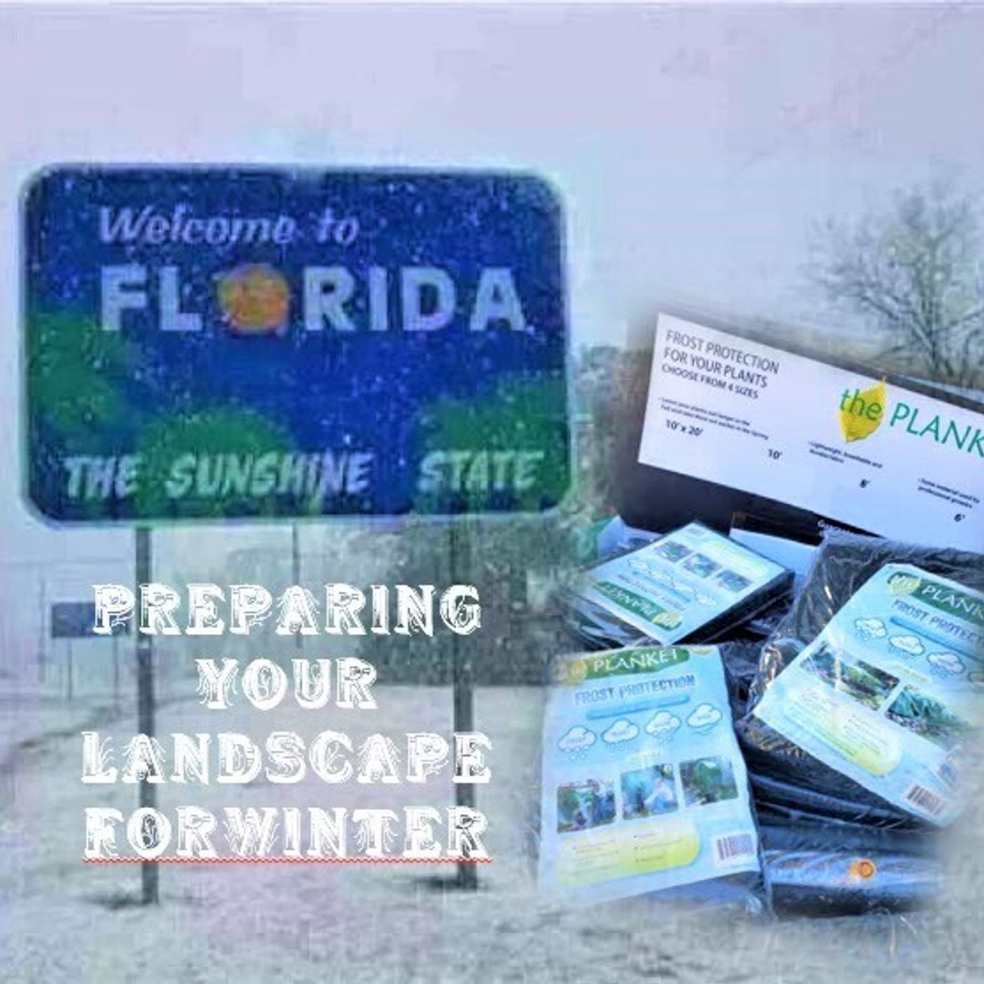 Better Lawns and Gardens - Hour 1 Preparing Your Landscape for Winter December 4, 2021