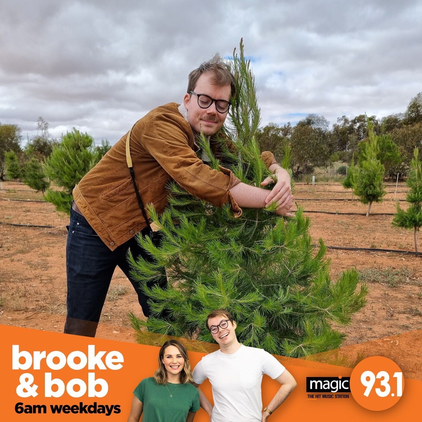 748: Picking Bob a Real Christmas Tree episode artwork