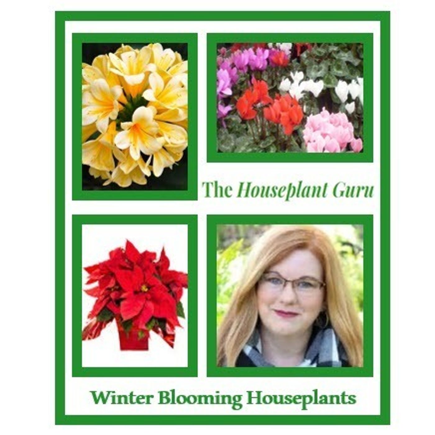 Better Lawns and Gardens - Hour 2 Winter Blooming Houseplants December 11, 2021
