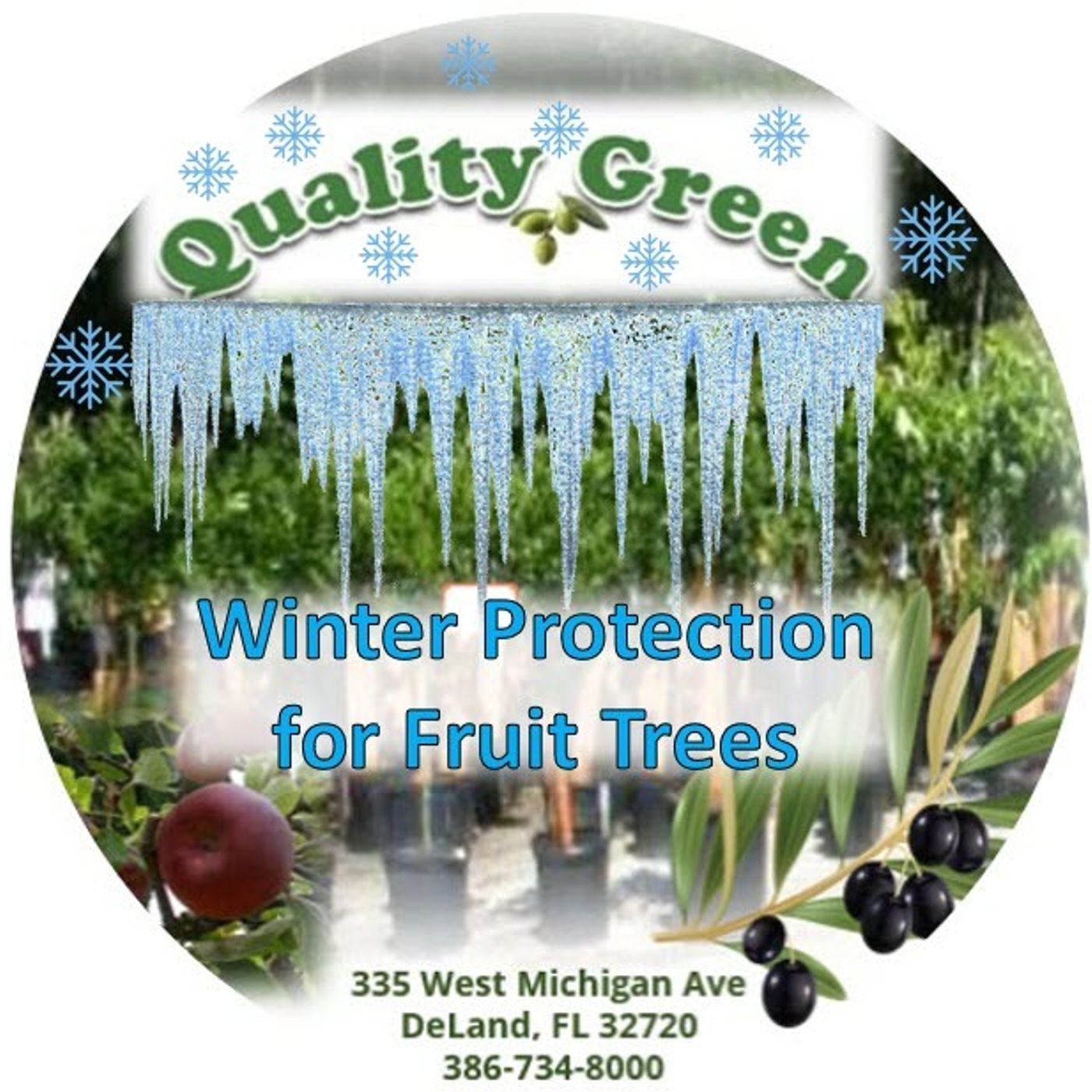 Better Lawns and Gardens - Hour 1 Winter Protection For Fruit Trees December 11, 2021