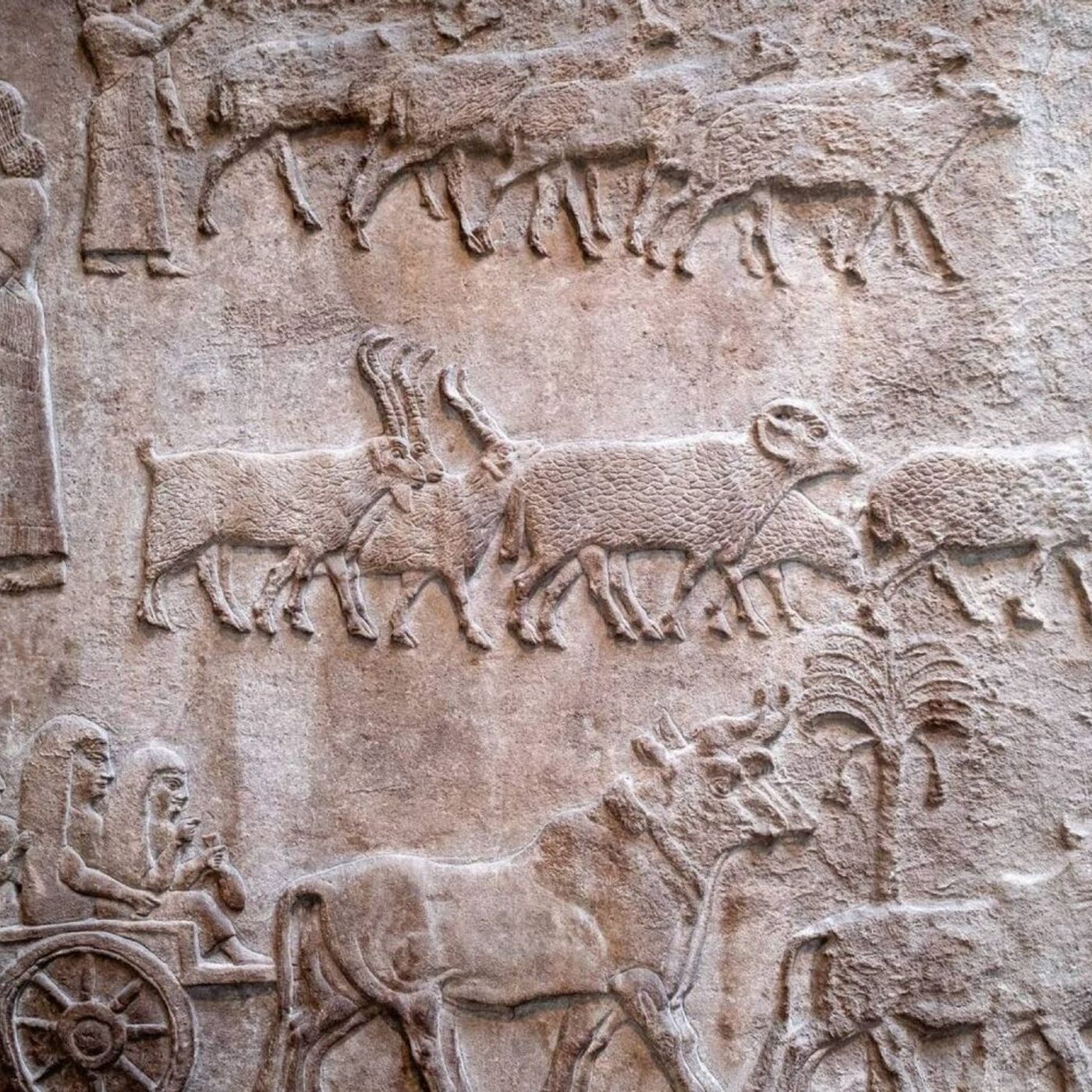 EI Weekly Listen—Fantasy in Middle Eastern nation-making by Nathan Shachar