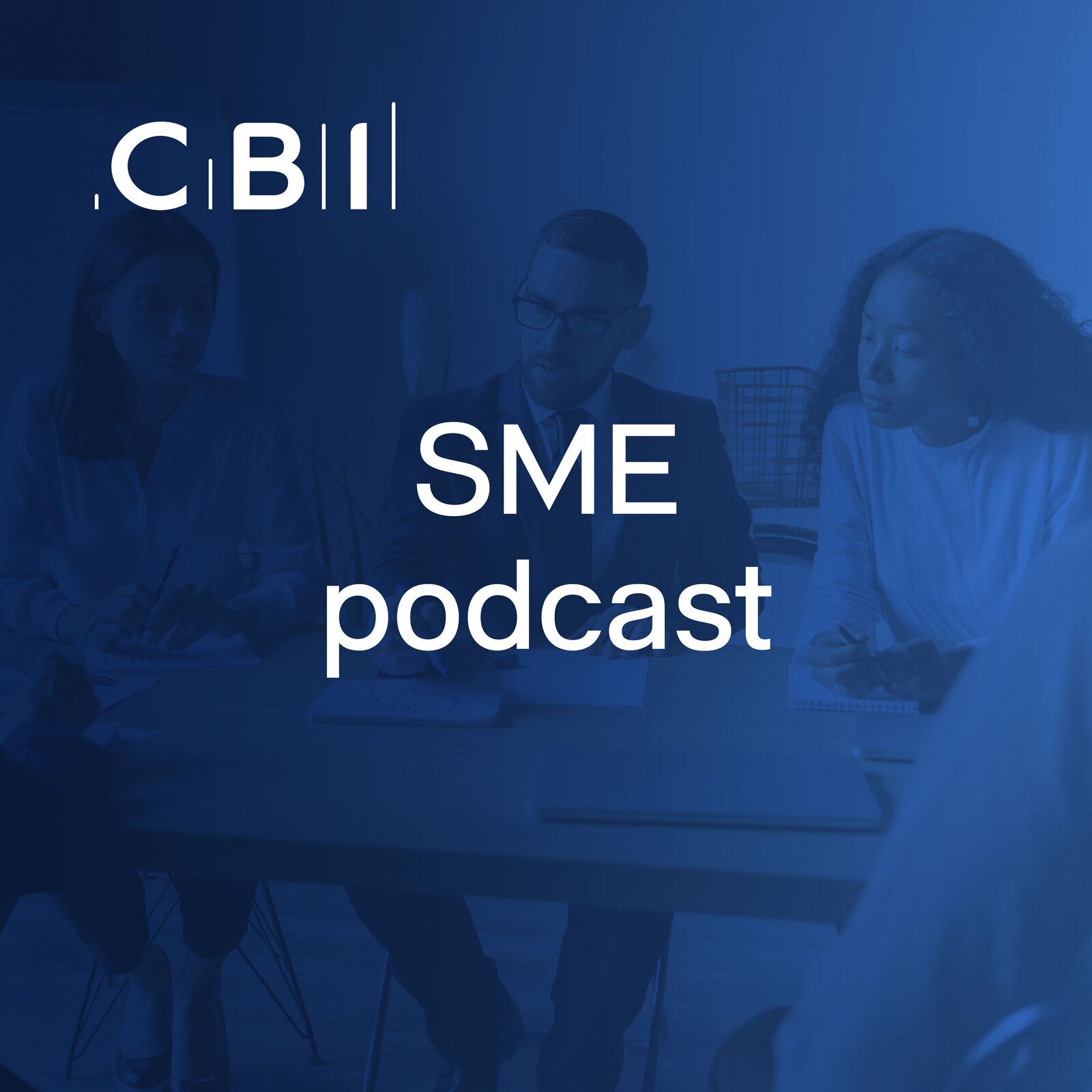 SME Podcast: Myth-busting digital transformation