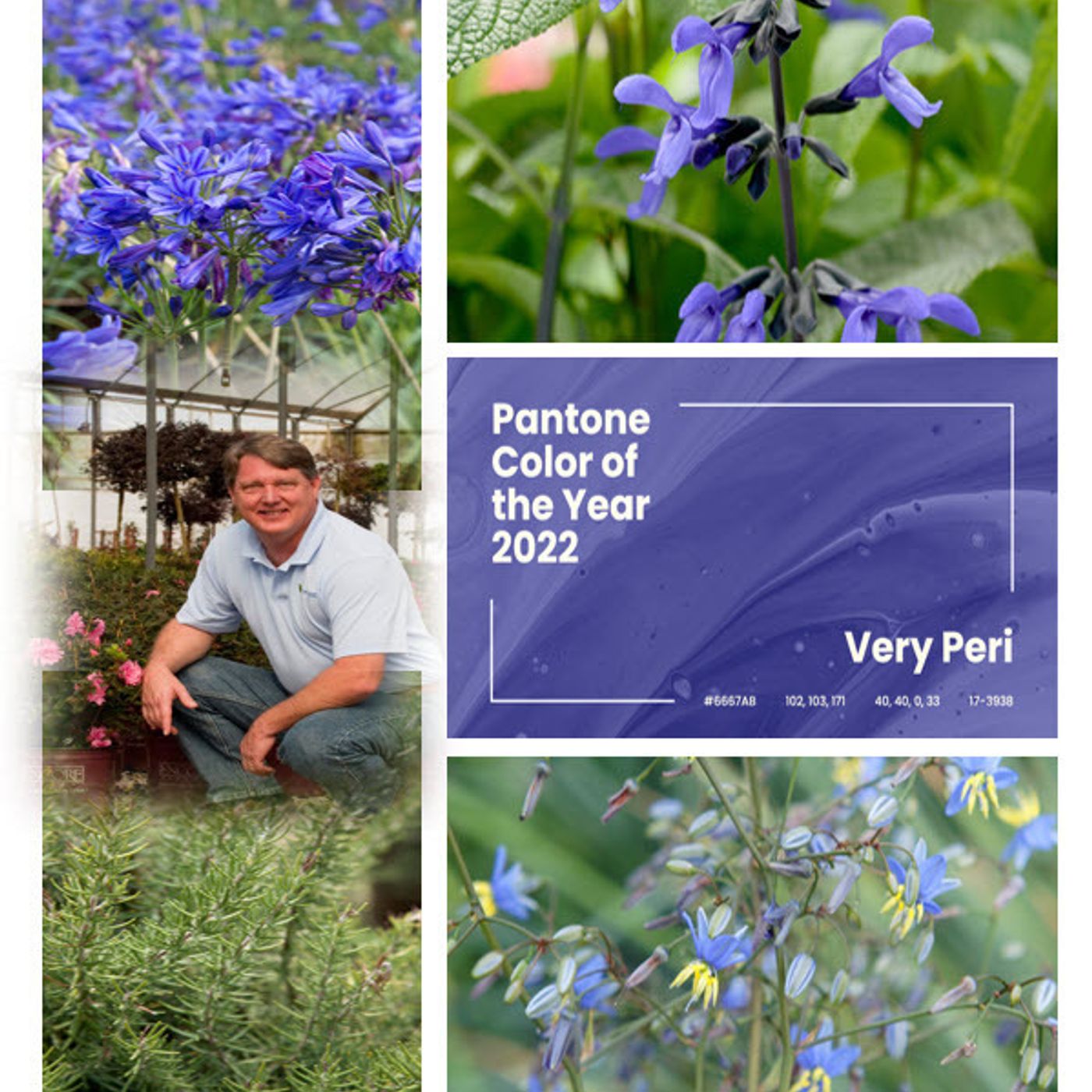 Better Lawns and Gardens - Hour 2 Color of the Year: Very Peri January 29, 2022