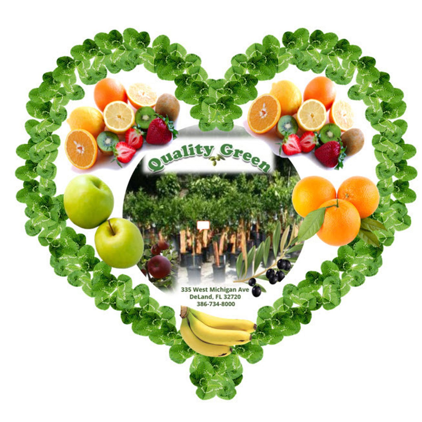 Better Lawns and Gardens - Hour 1 Dana Venrick Winter Citrus Care Feb 12, 2022