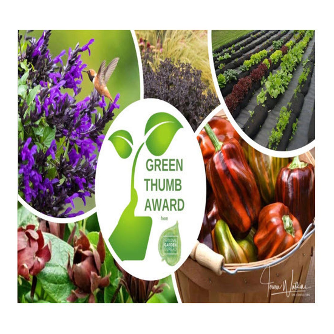 Better Lawns and Gardens - Hour 2 National Garden Bureau 2022 Green Thumb Awards