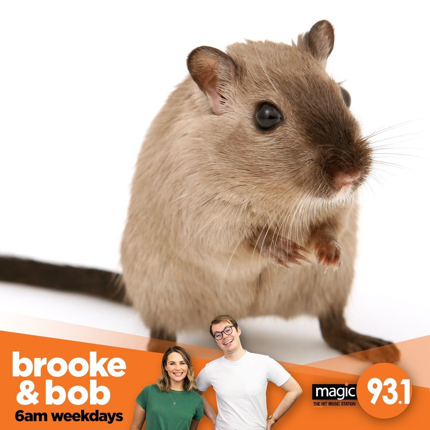 817: Brooke's Gone to War episode artwork