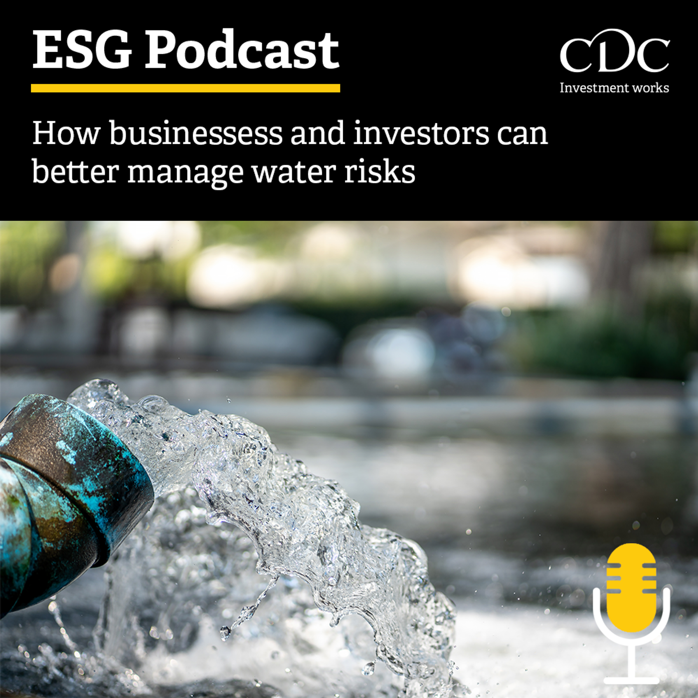 ESG Podcast: How businesses and investors can better manage water risks