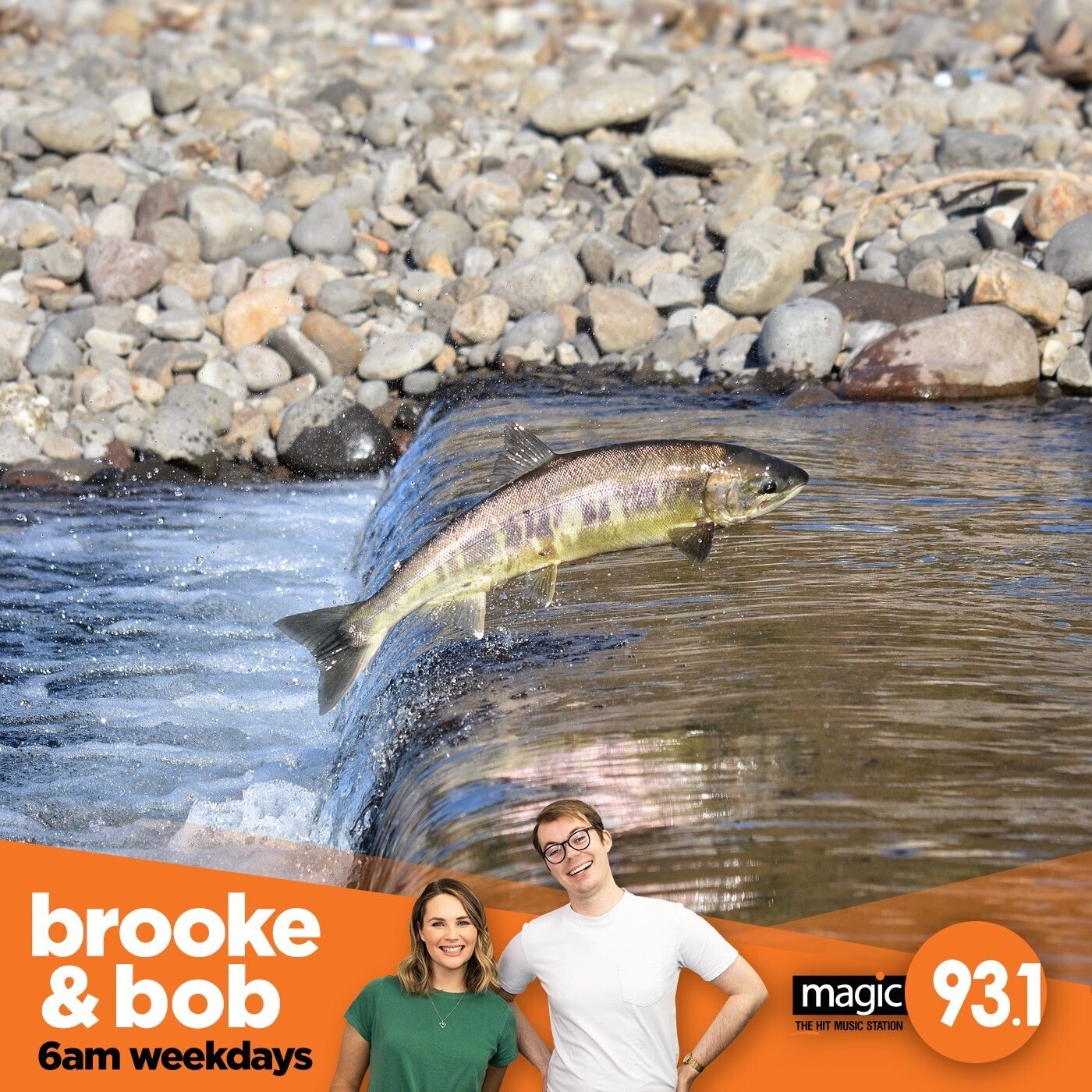 795: Bogan or Rogan? episode artwork