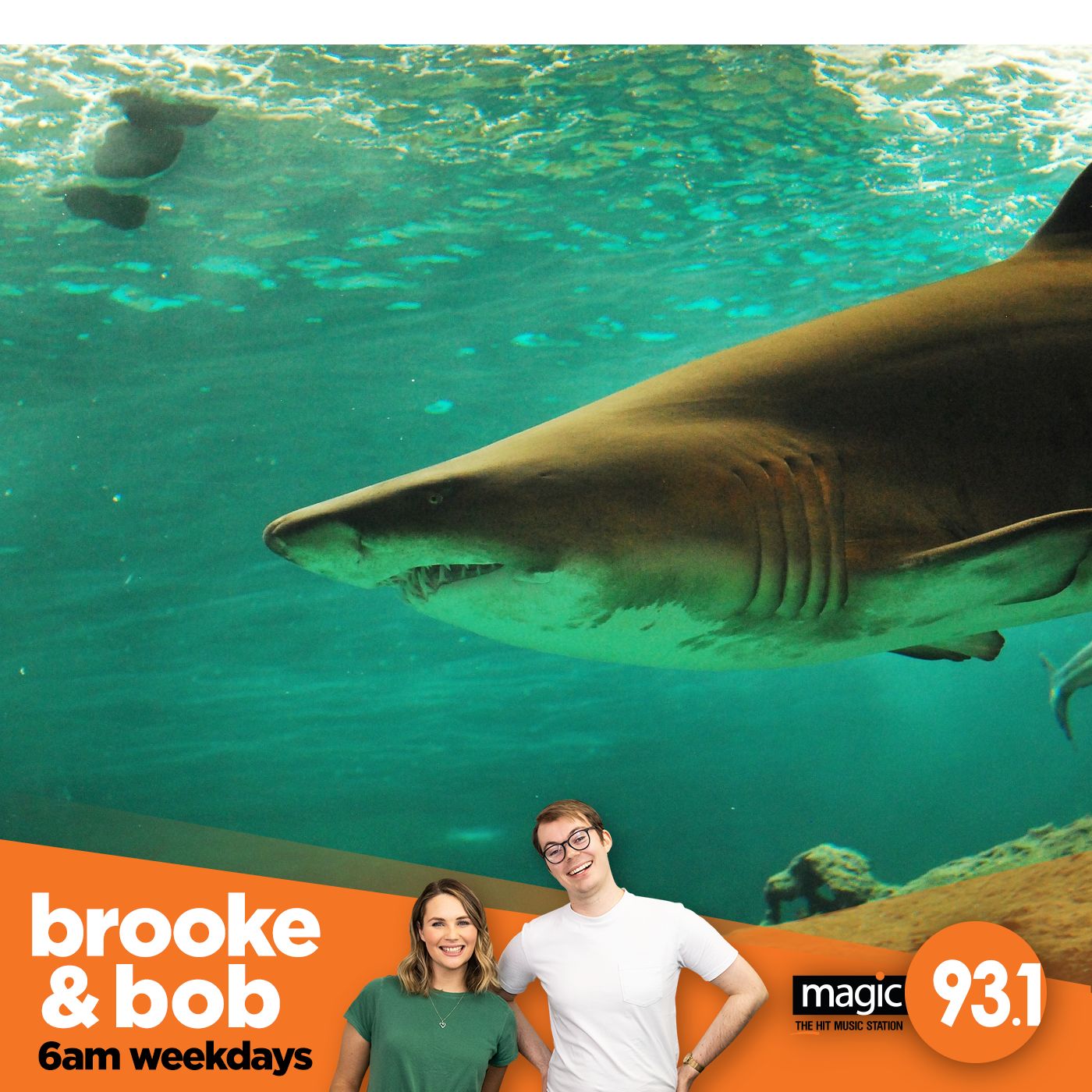 806: Amy Shark or Baby Shark? episode artwork