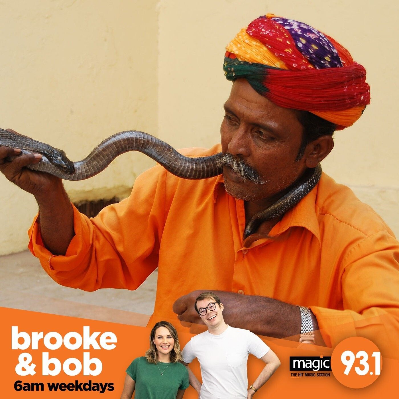 809: Another Snake at Brooke's Place episode artwork