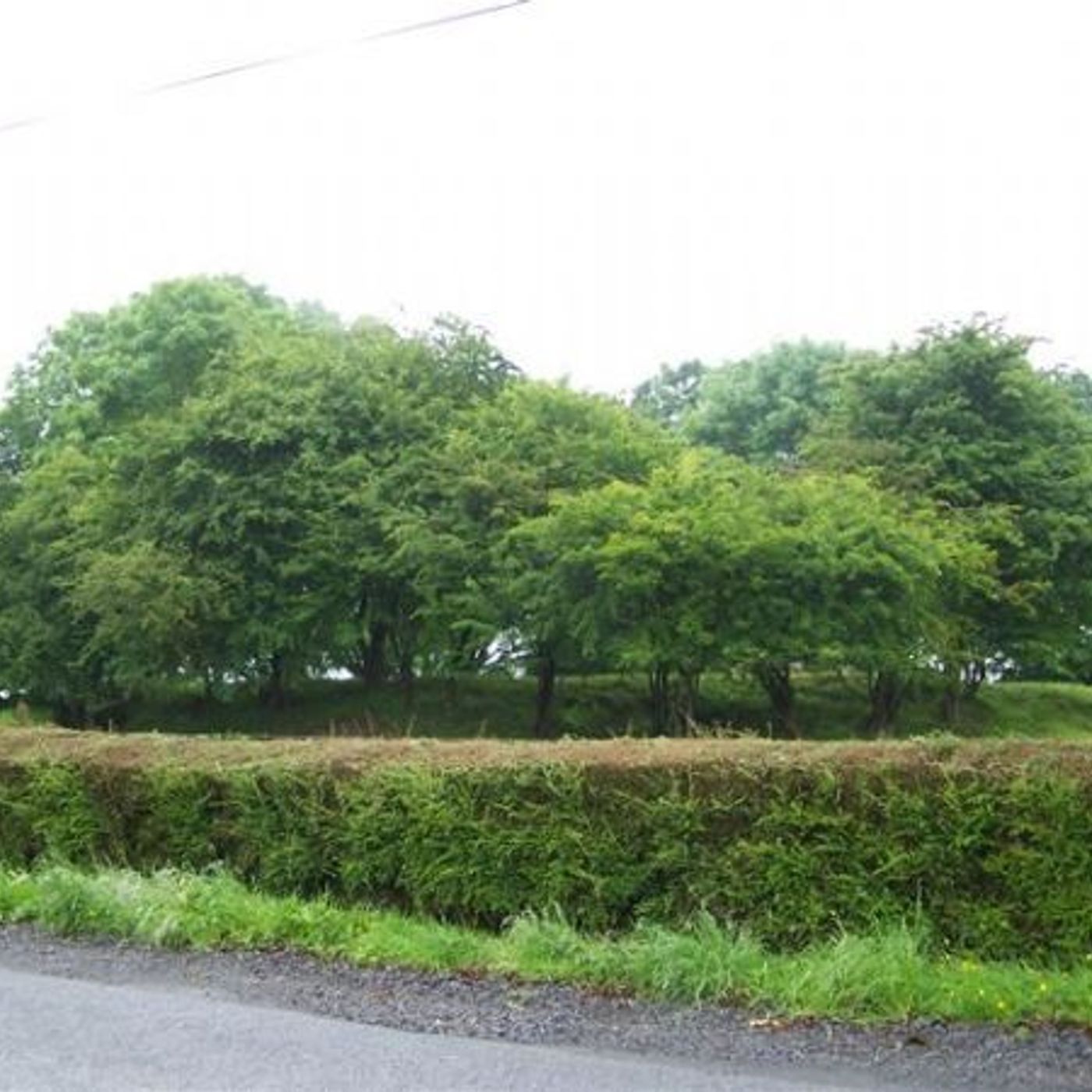 SRH 2. Breheny's Ringfort episode artwork