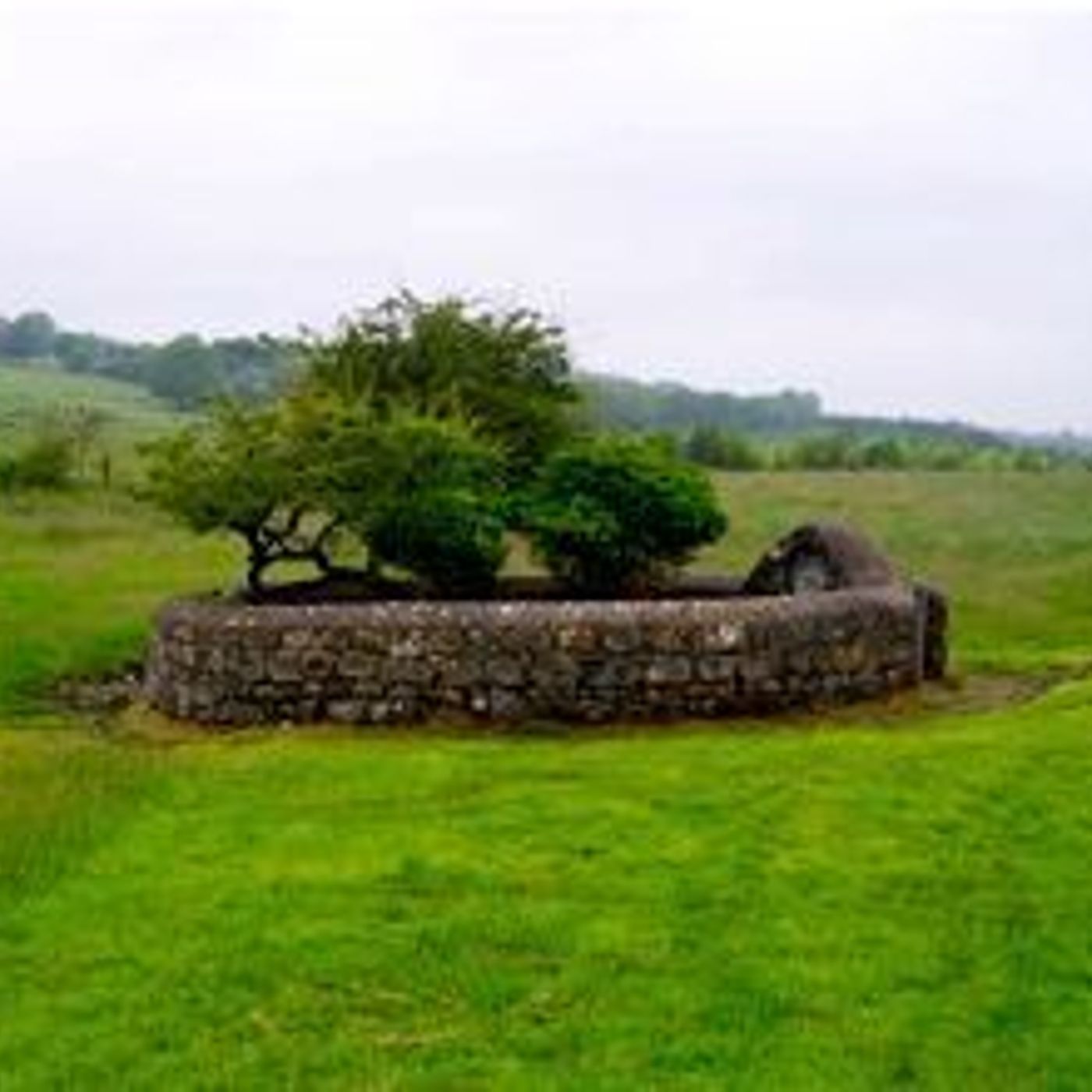 SRH 15.  St Ronan's Holy Well and Rag Tree episode artwork