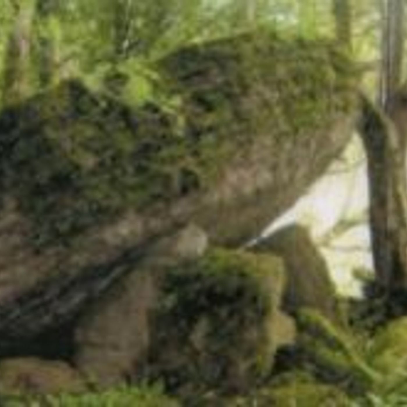 SRH 16.  Meehambee Dolmen episode artwork