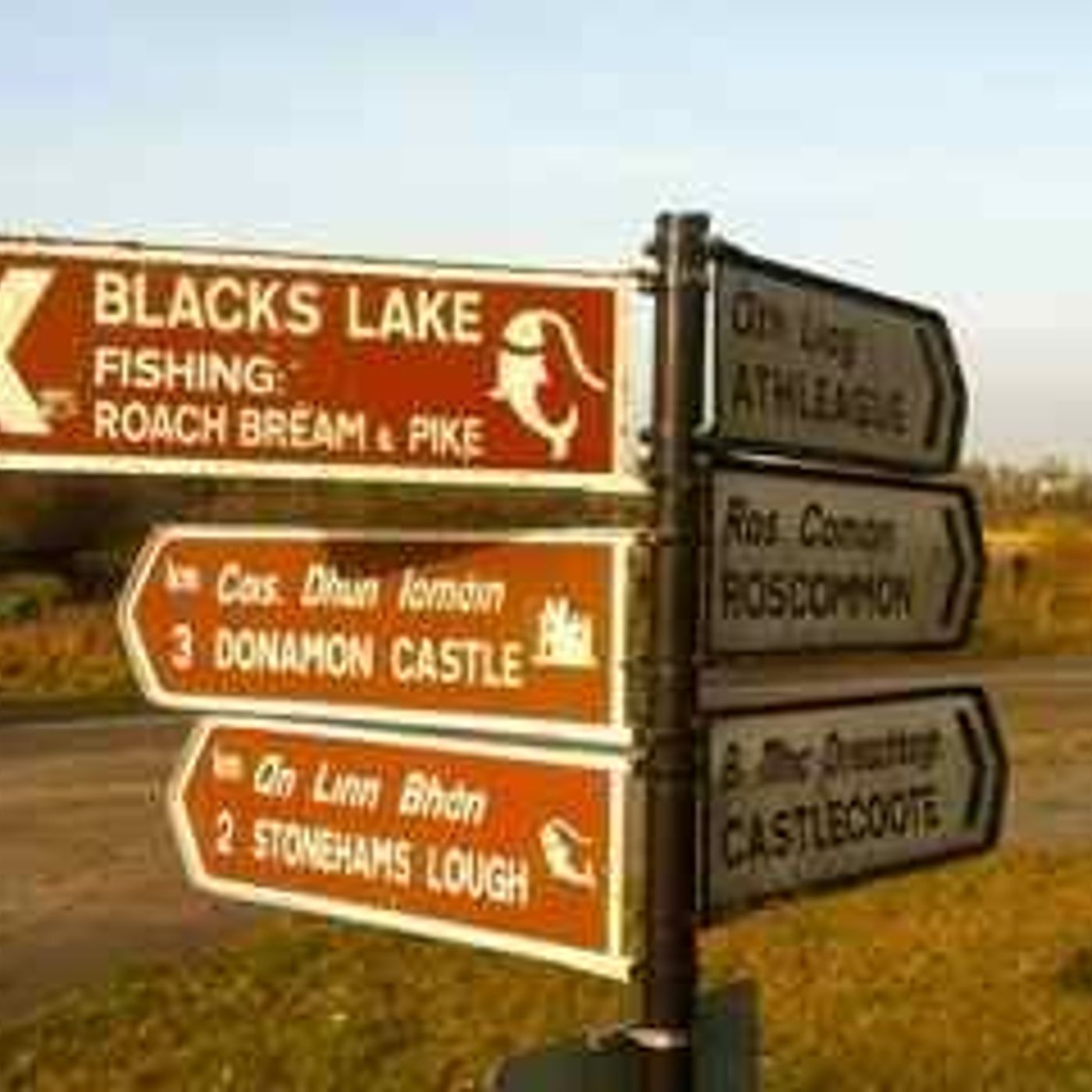 21. SVT Roscommon Place Names episode artwork