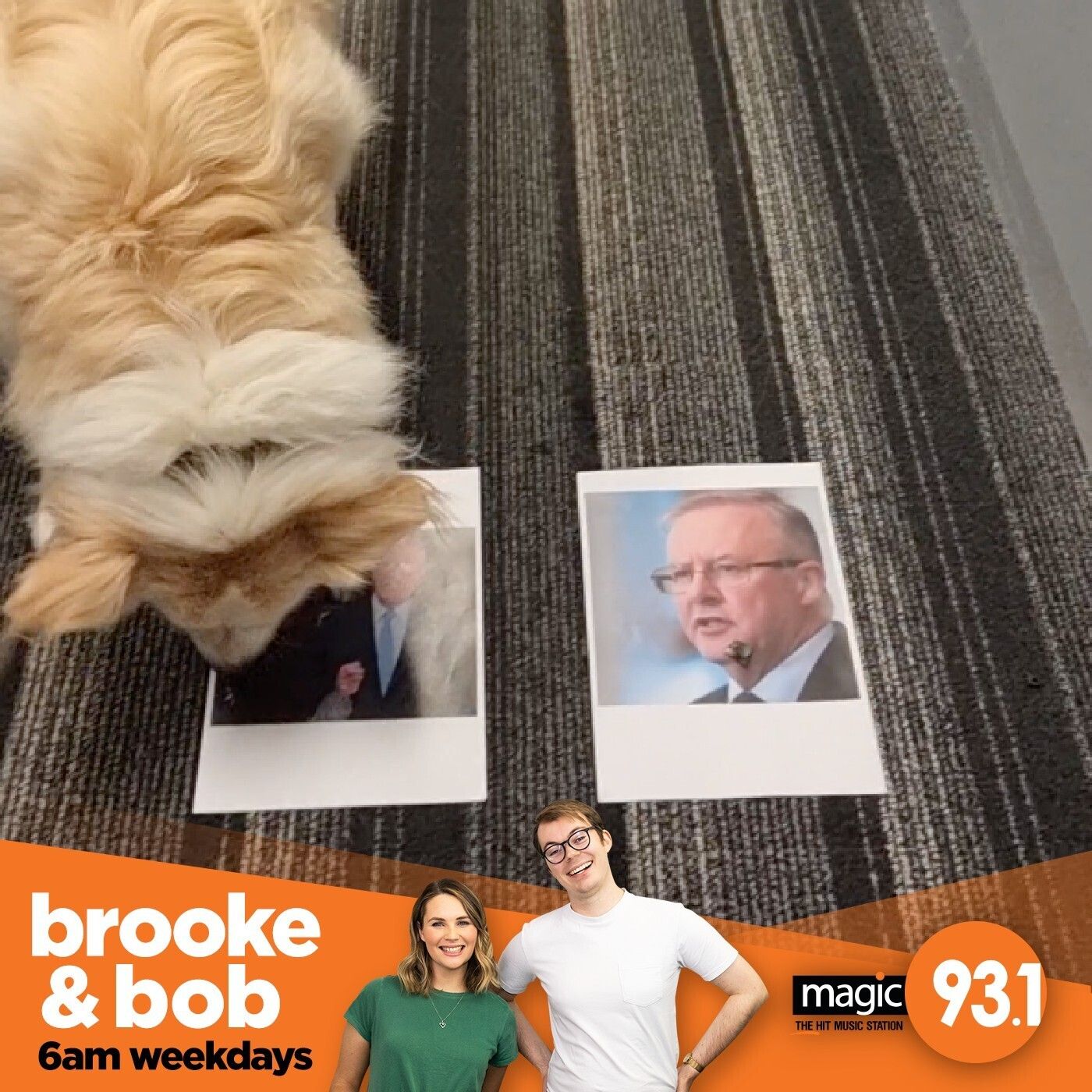 813: Eddie's Election Pick episode artwork