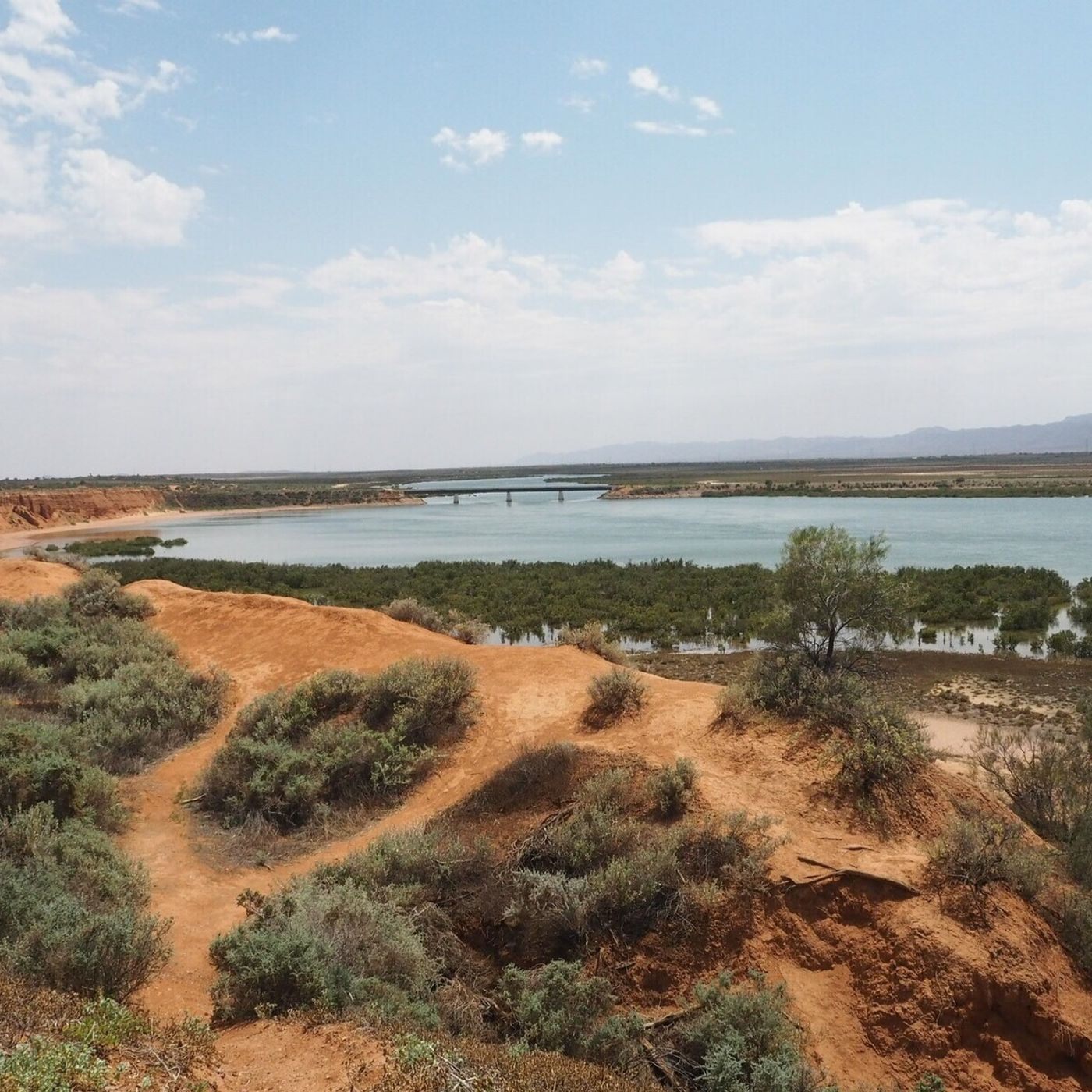 Council Confirms State Government Funding For Port Augusta Arid Lands episode artwork