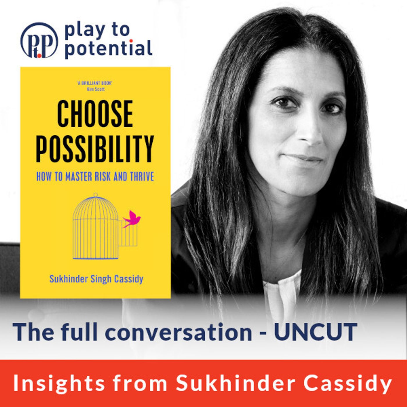Play to Potential Podcast