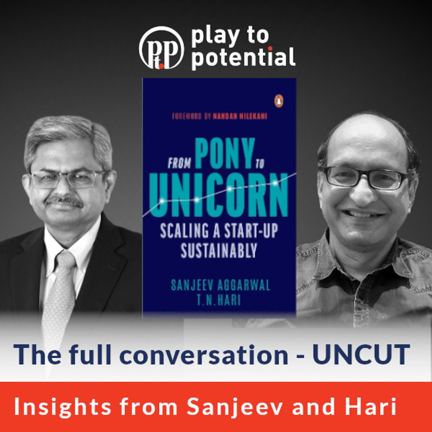 Play to Potential Podcast
