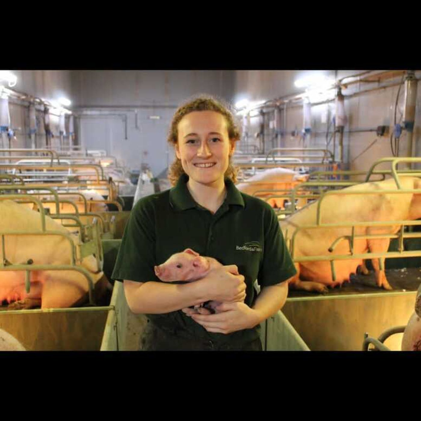 342: How is the Pig Industry Scholarship Programme (PISP) developing the next generation?