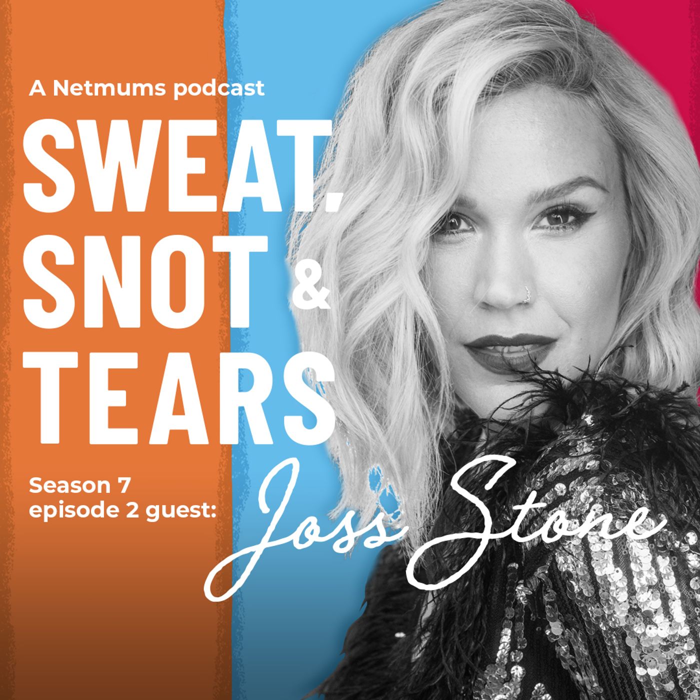 S1 Ep78: Joss Stone on the highs and heartbreak of parenting episode artwork