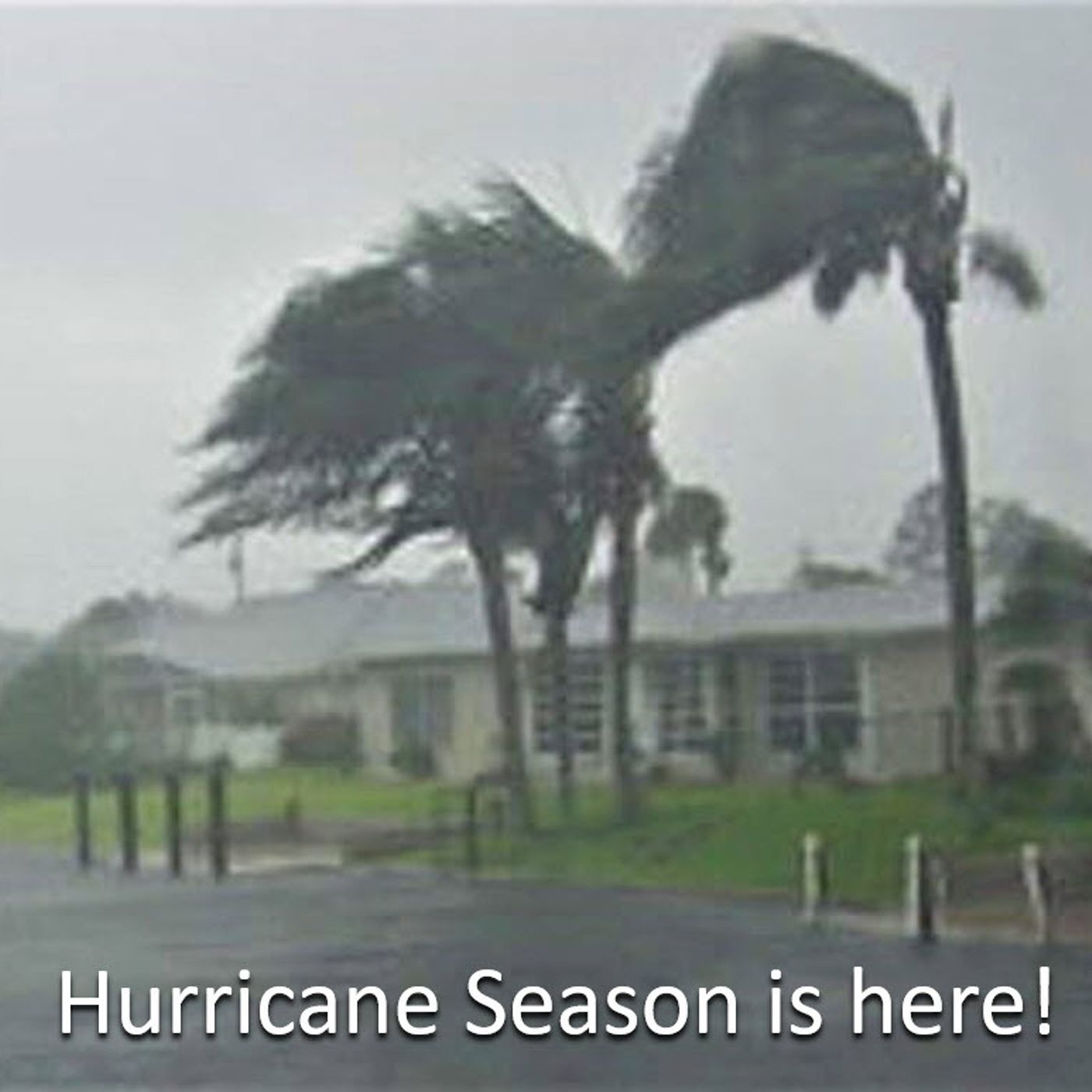 Better Lawns and Gardens - Hour 1 Hurricane Damage To Trees Quality Green Specialists June 4, 2022