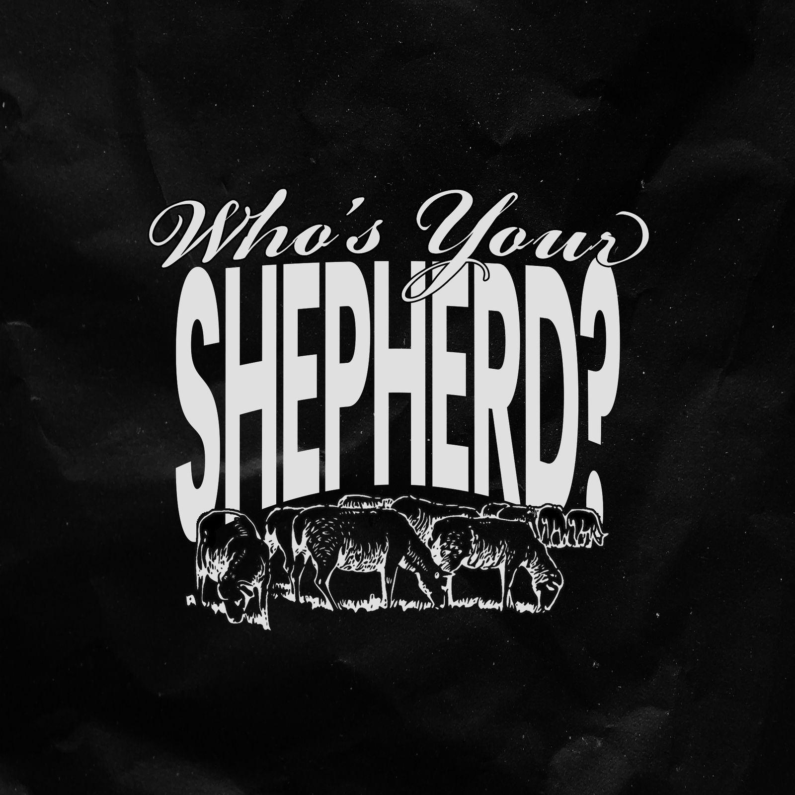 Who's Your Shepherd?