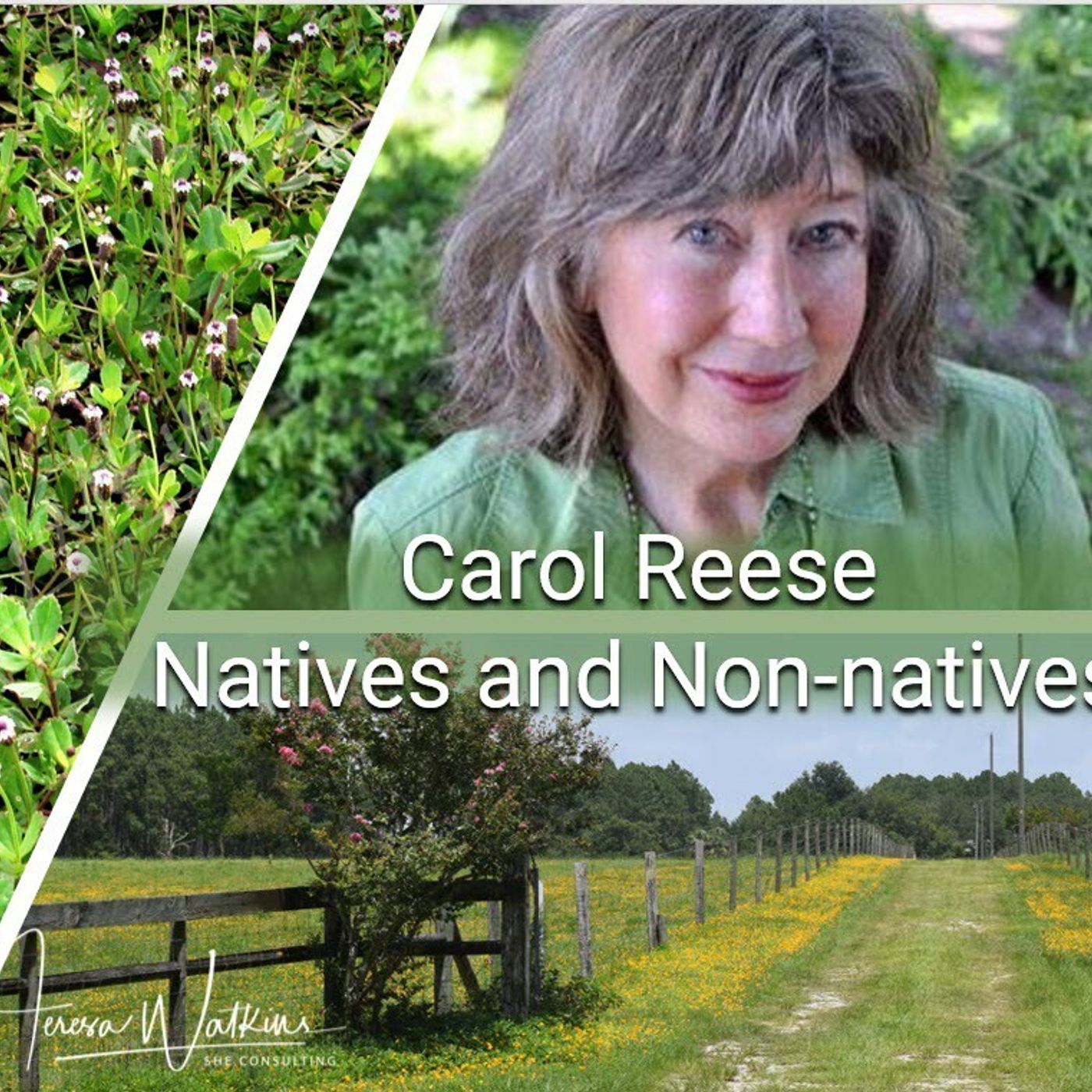 Better Lawns and Gardens - Hour 1 Carol Reese Native Plant Myths July 11, 2022