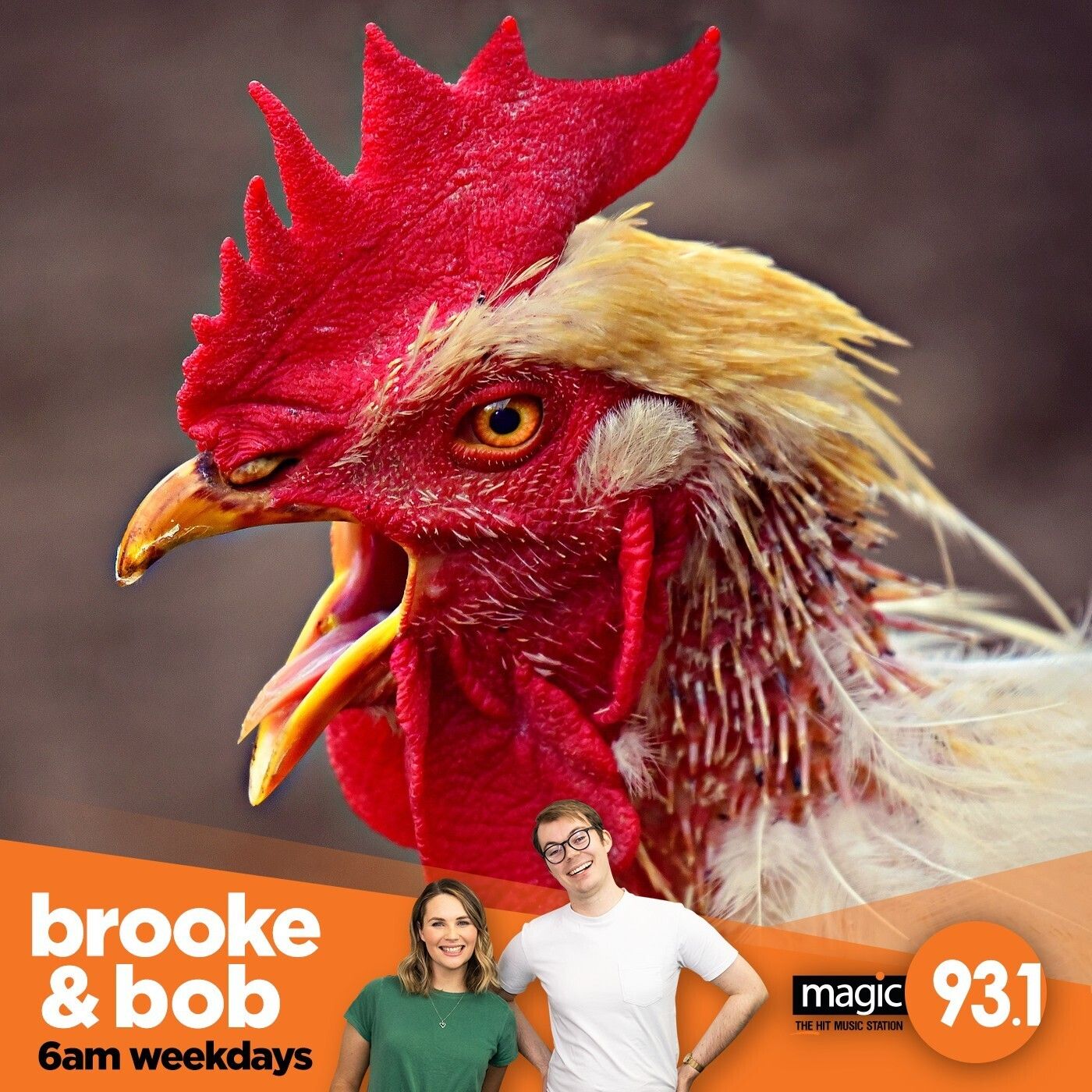 856: Brooke's Illegal Underground Cagefights episode artwork
