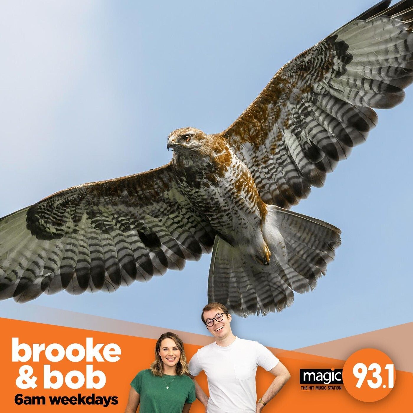 857: You Talk The Talk But Do You Squawk The Squawk? episode artwork