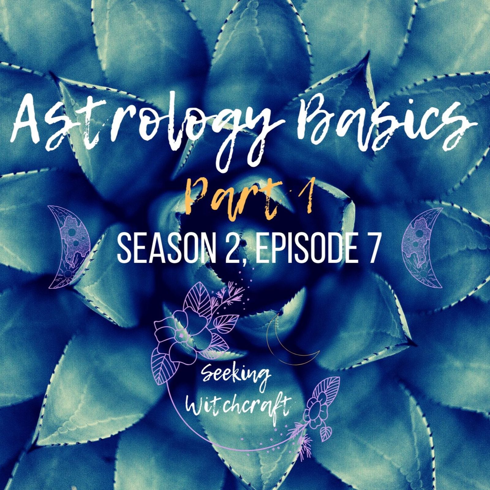 S2 Ep7: Astrology Basics - Part 1