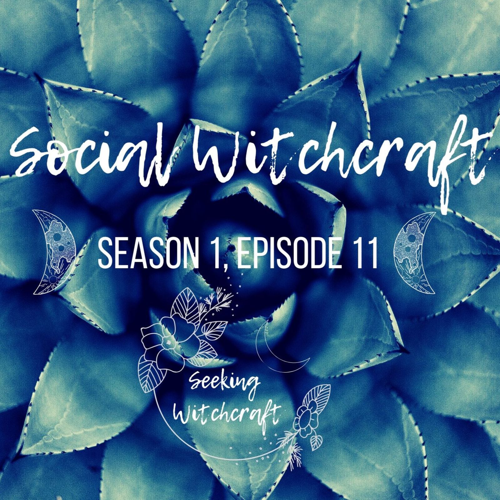 S1 Ep11: Social Witchcraft