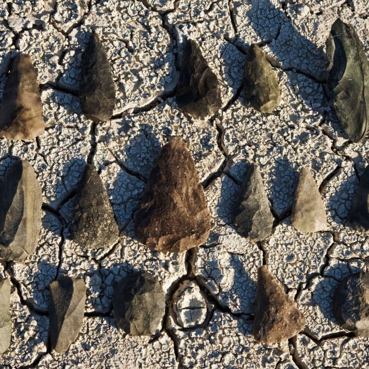 EI Weekly Listen — Why 16 billion cortical neurons are not enough by Suzana Herculano-Houzel