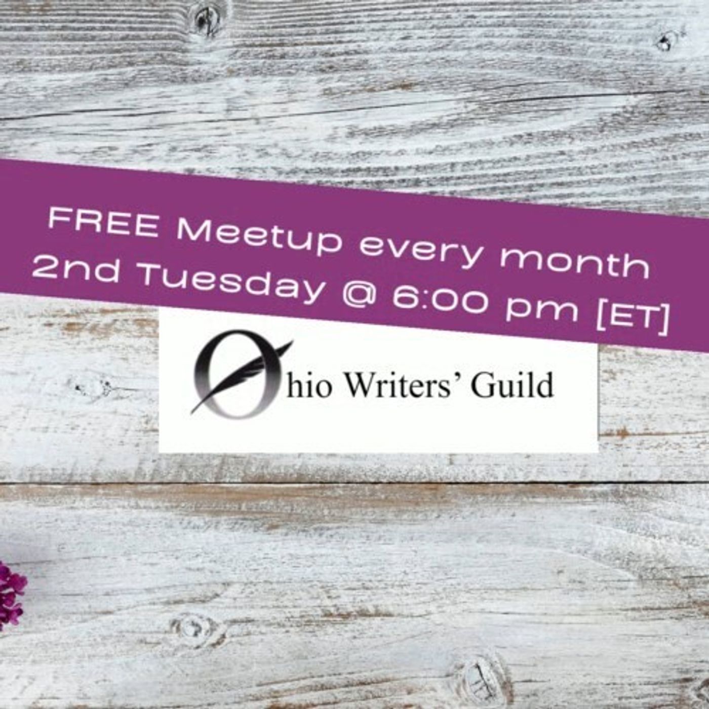 Freestyle Living with Kathy Binner |Your Passive Income Mentor | Health and Wealth Educator