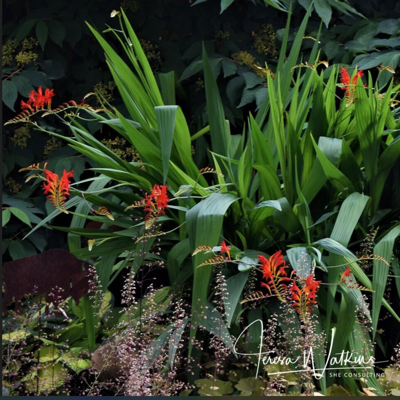 Better Lawns and Gardens - Hour 1 Your Summer Questions July 16, 2022