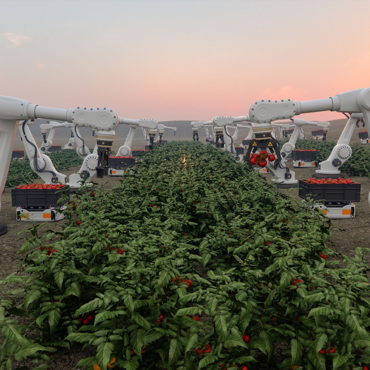 299: How Spain is staking its claim as a global agtech leader
