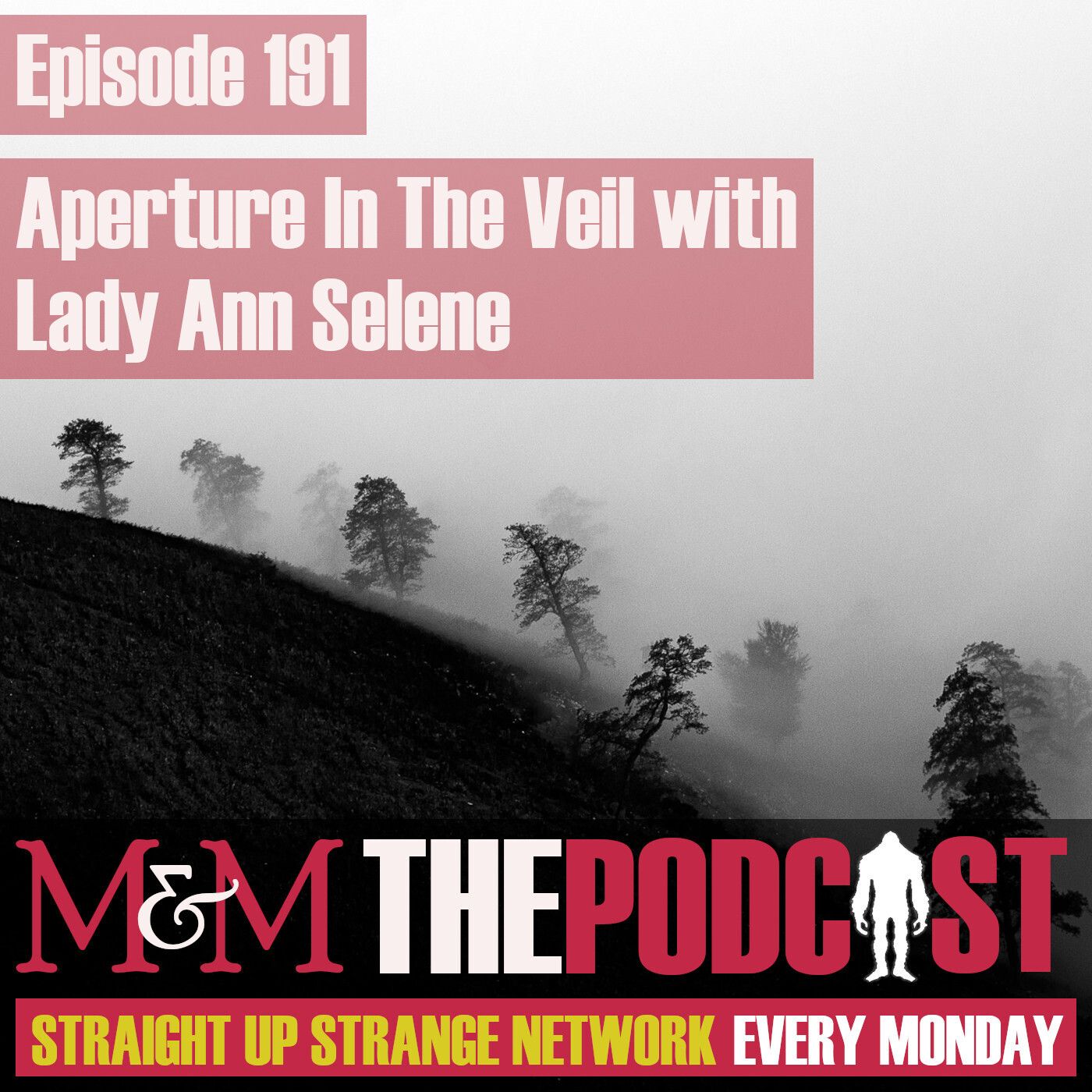 Mysteries and Monsters: Episode 191 Aperture In The Veil with Lady Ann Selene