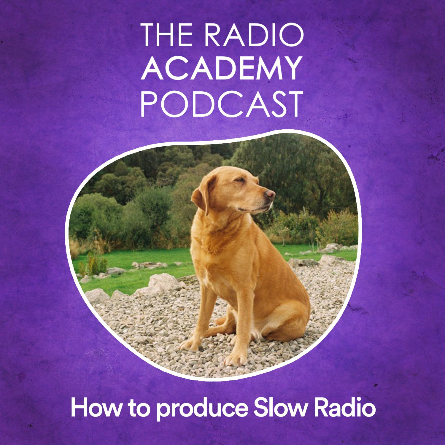 The Radio Academy Podcast / How to produce Slow Radio (with Honey the Dog)