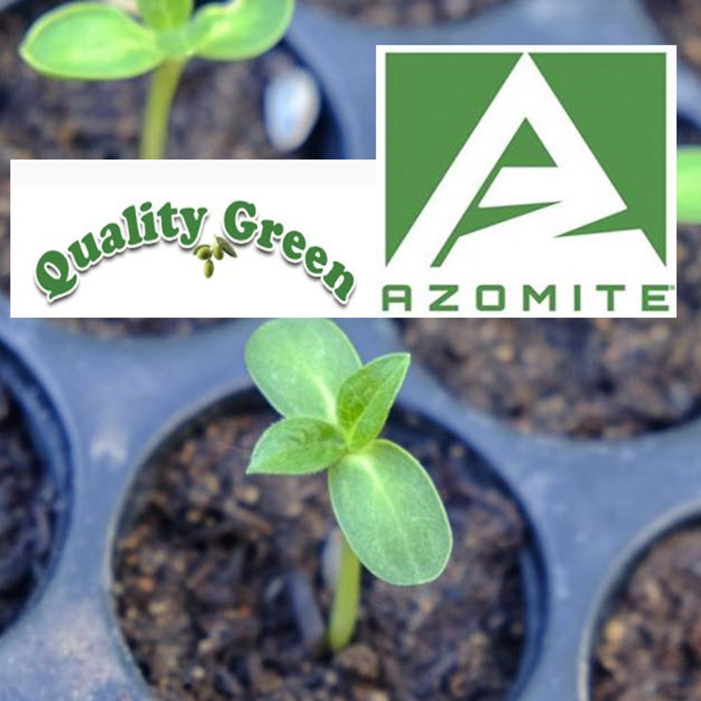 Better Lawns and Gardens - Hour 1 Azomite, Minerals for Your Florida Soil July 30, 2022