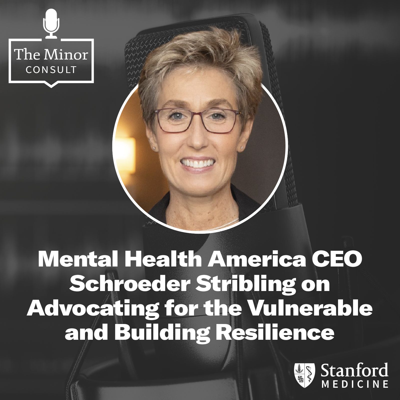 S2 Ep4: CEO of Mental Health America Schroeder Stribling on Advocating for the Vulnerable & Building Resilience episode artwork