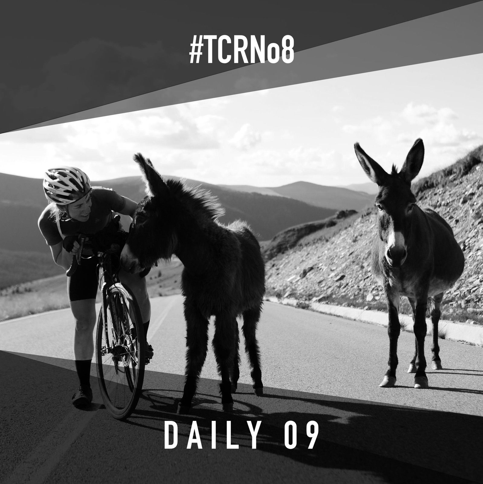 S4 Ep13: TCRNo8 / DAILY 09 - Ice Cream Circus