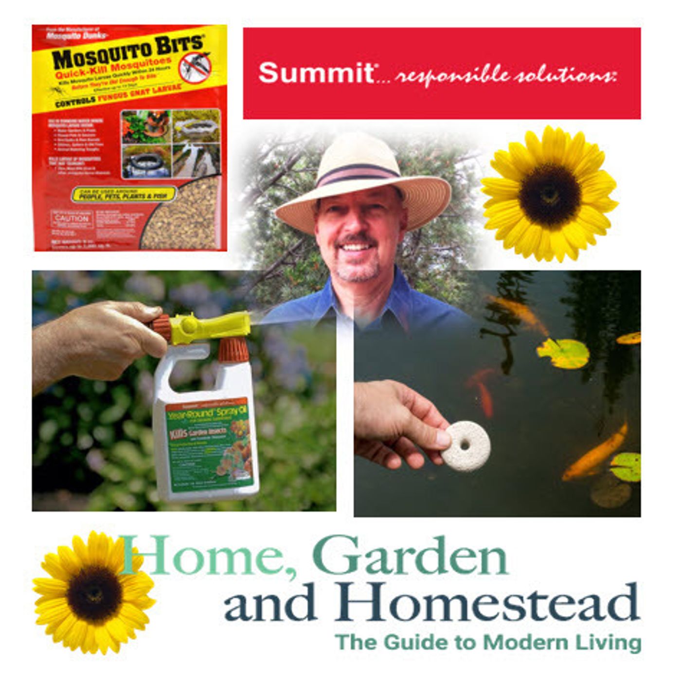 Better Lawns and Gardens - Hour 2 Summit Randy Schultz Home Garden Homestead August 6, 2022