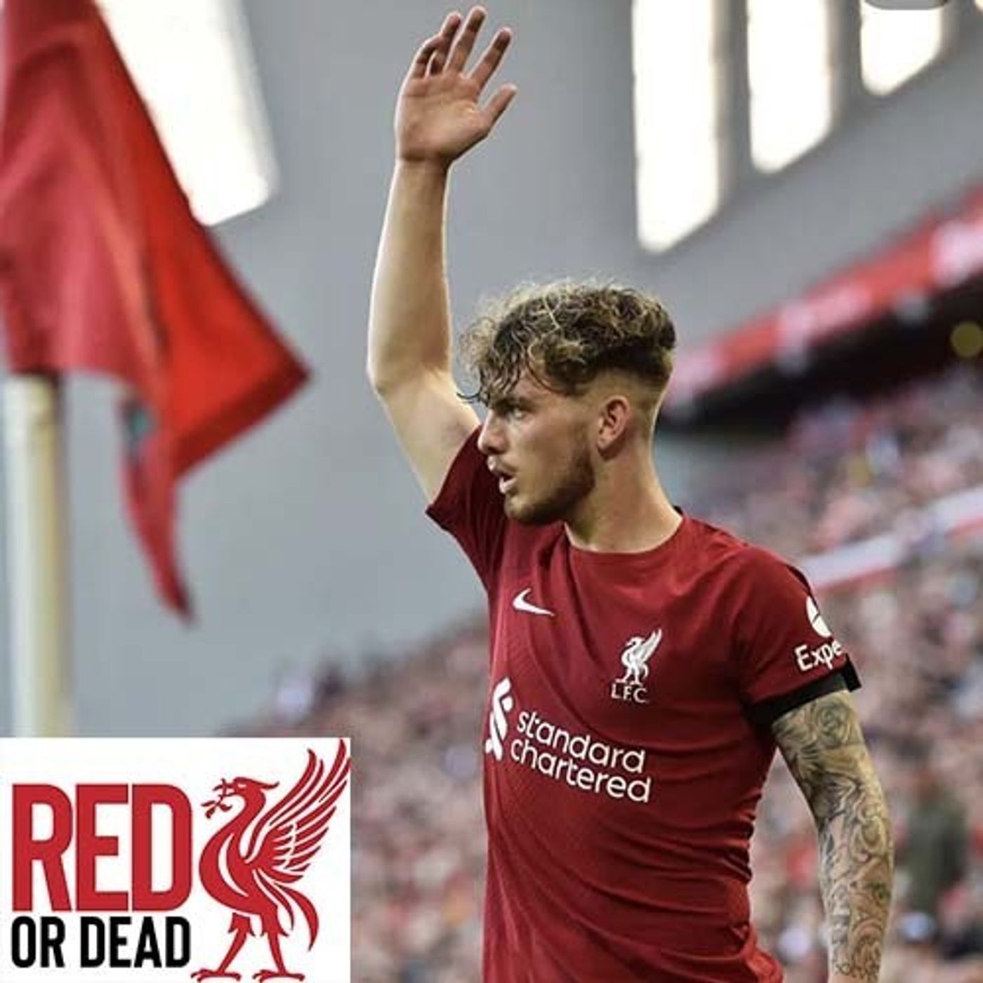 Series 3 | Ep 2: The Red Or Dead Podcast