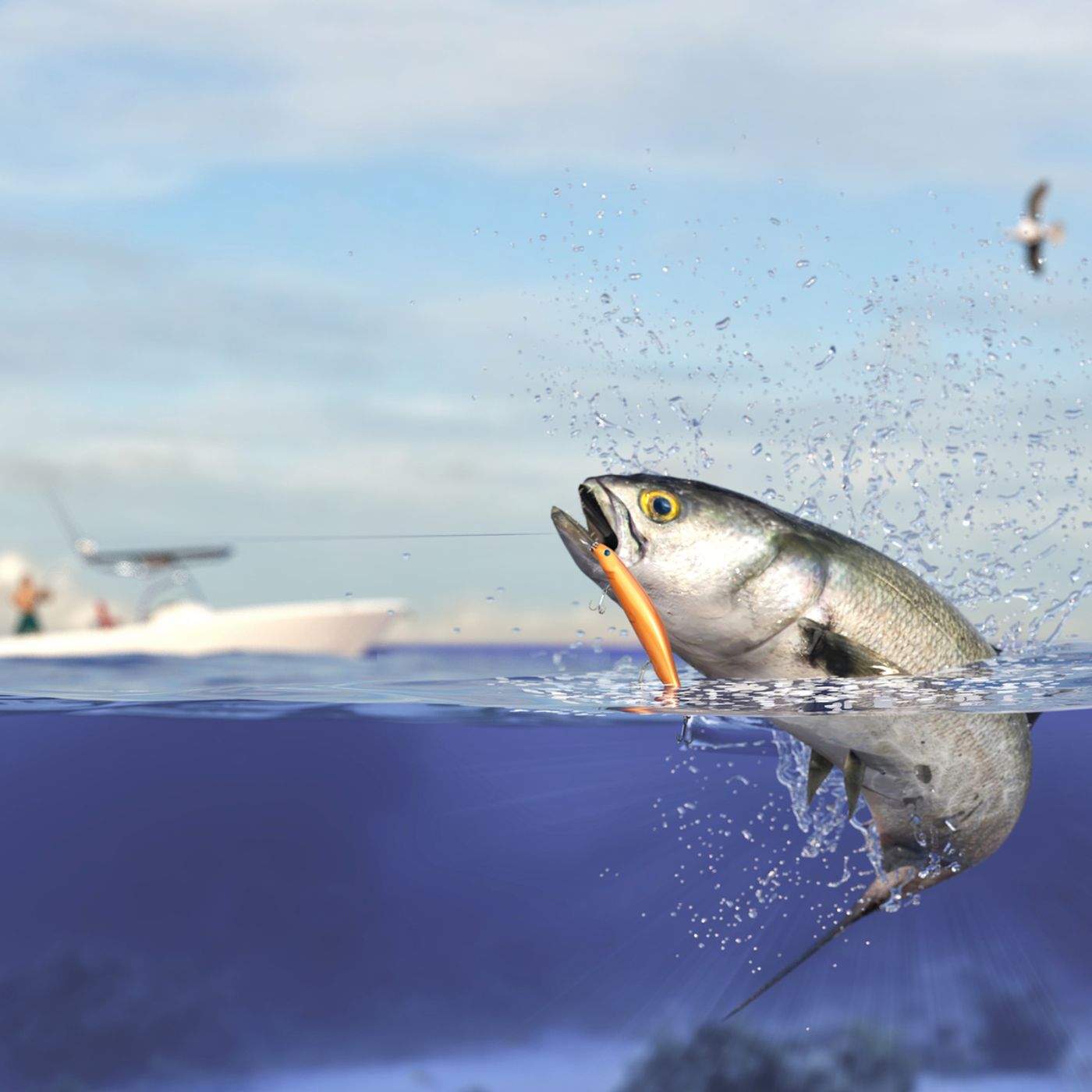 Chris James From Blue Water Ventures Bait & Tackle episode artwork
