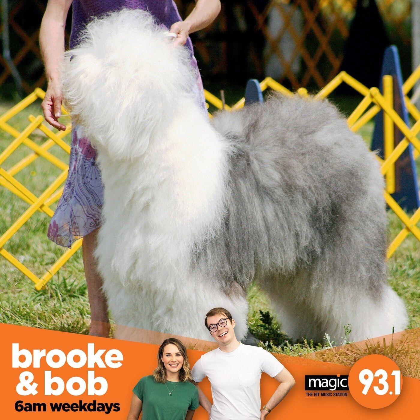 897: Interviewing the Dulux Dog episode artwork
