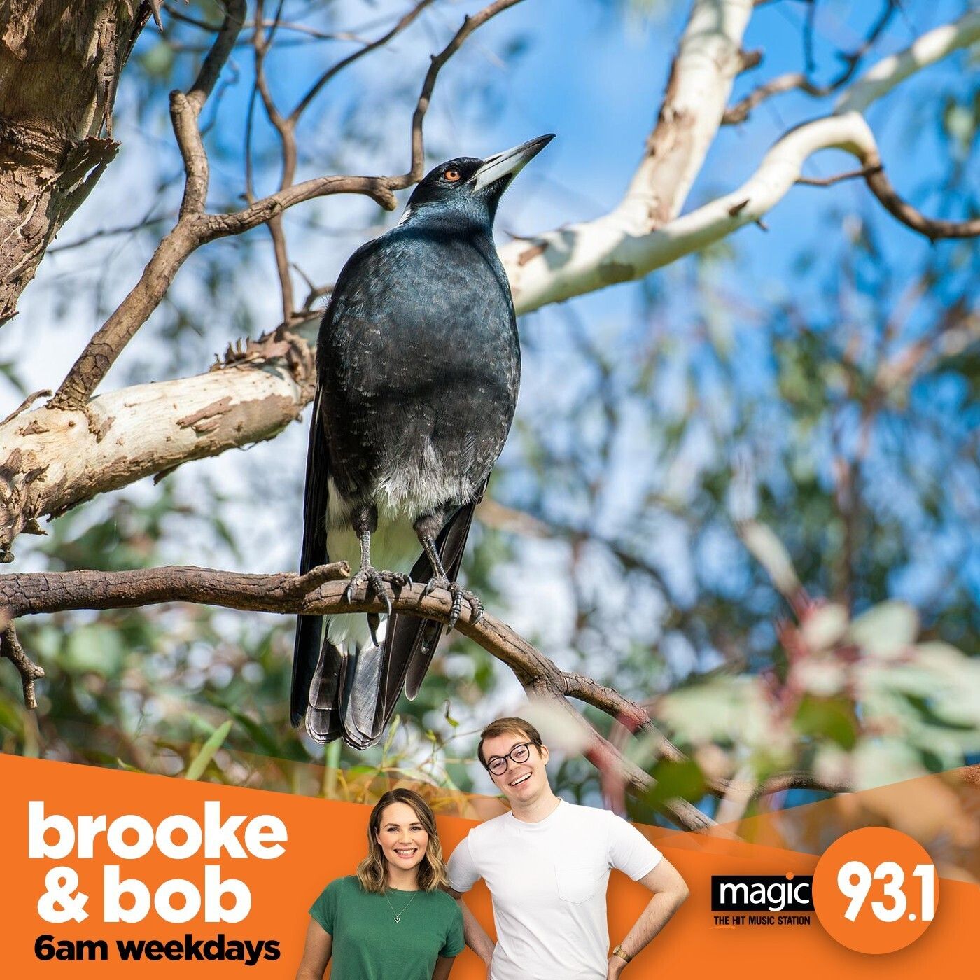 898: First Swoop of the Season episode artwork