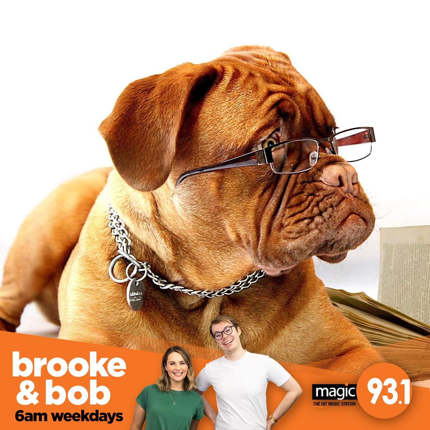 901: Writing a Dog's Resume episode artwork